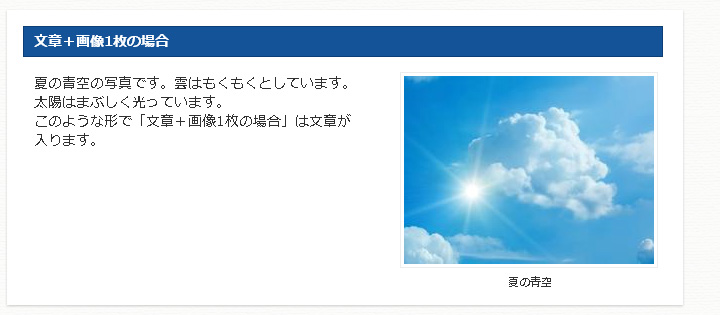 文章＋画像1枚 例