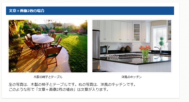 文章＋画像2枚 例