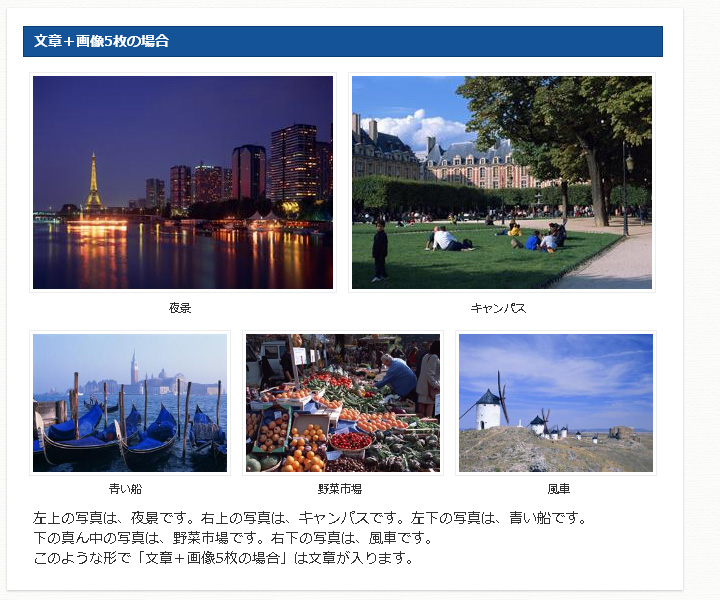 文章＋画像5枚 例